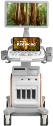 https://mekong-medical.com/wp-content/uploads/2023/06/ACUSON-Redwood-Ultrasound-System.png